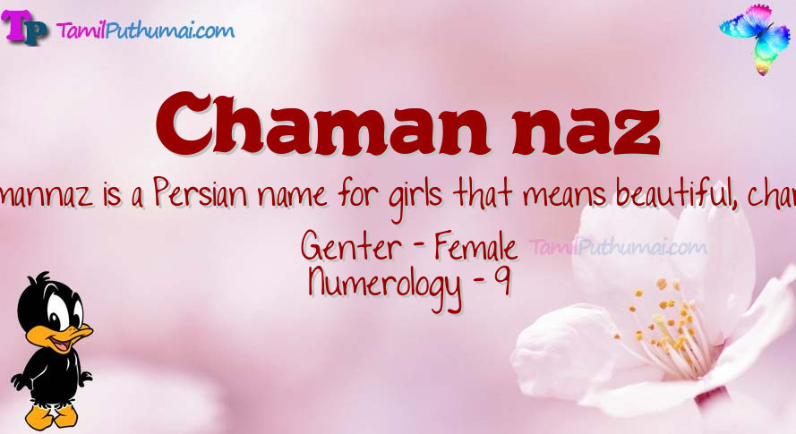 Chaman naz-babyname-meaning